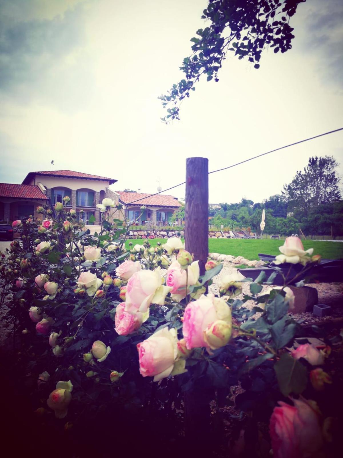 Orchidea Del Garda Rooms & Apartments Peschiera del Garda Eksteriør bilde